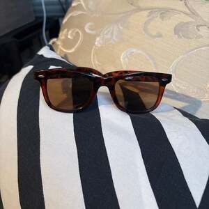 Classic Tortoise Shell Wayfarer Style Sunglasses with Brown Lenses